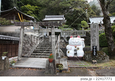 徳島県阿南市　加茂町　 お松大権現 22417771