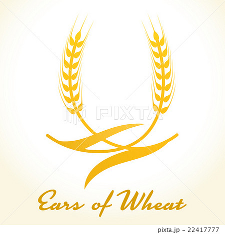 Wheat ears or rice icon. Crop, b 22417777