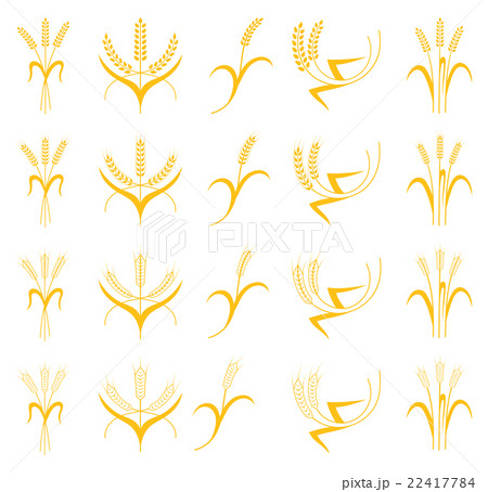 Set Ears of Wheat, Barley or Rye 22417784
