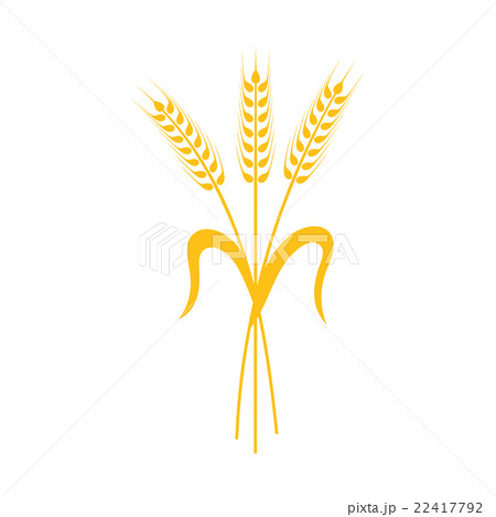 Ears of Wheat, Barley or Rye Ears of Wheat, Barley or Rye 22417792