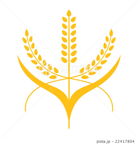 Ears of Wheat, Barley or Rye Ears of Wheat, Barley or Rye 22417804