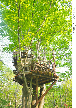 森のツリーハウス 22418298