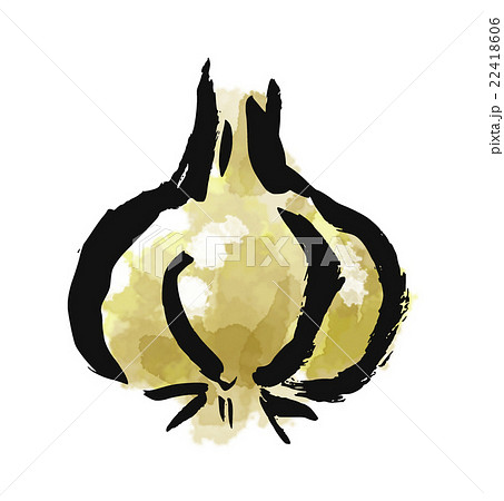 筆描き　食品　にんにく 22418606