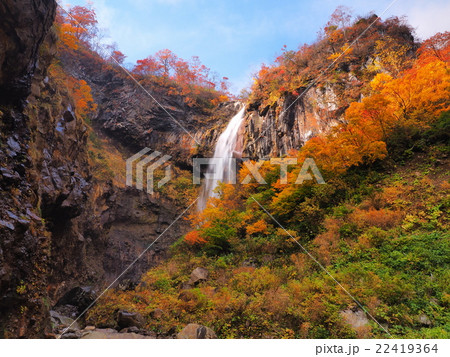 紅葉の惣滝 紅葉の惣滝 22419364