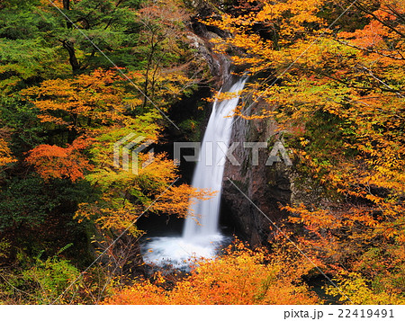 紅葉の大釜の滝 紅葉の大釜の滝 22419491