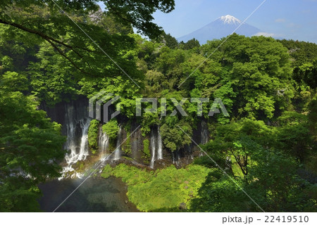 富士山と白糸の滝と虹（静岡県） 22419510