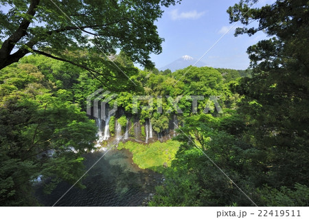 富士山と白糸の滝と虹（静岡県） 22419511