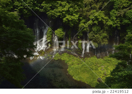 白糸の滝と虹・展望スペースからの眺め(静岡県) 白糸の滝と虹・展望スペースからの眺め(静岡県) 22419512