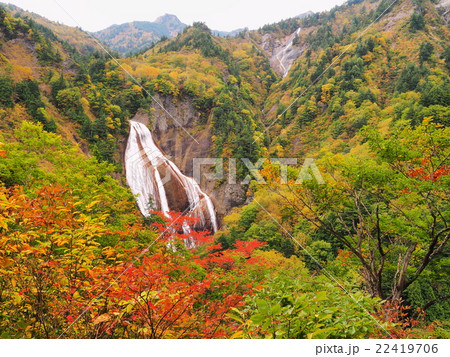 紅葉の滑川大滝 22419706
