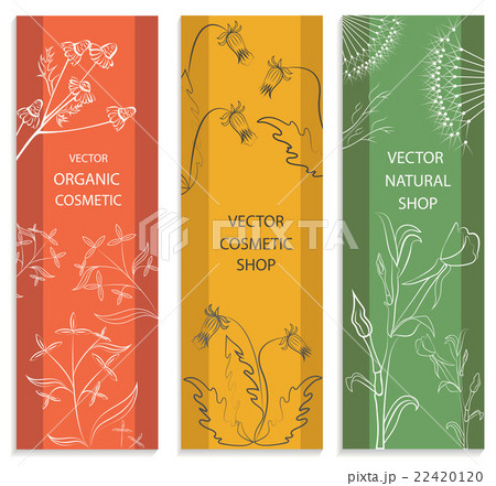 Decorative set, floral, botanical card, banner Decorative set, floral, botanical card, banner 22420120