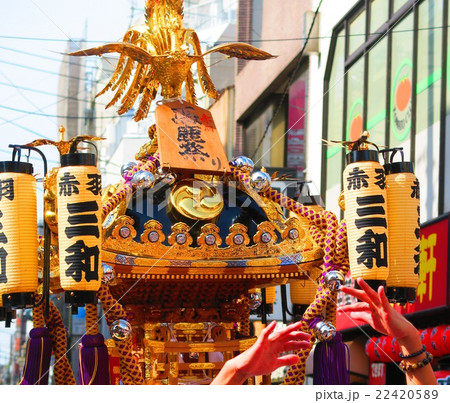 赤羽馬鹿祭り 22420589