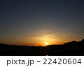夕陽 22420604