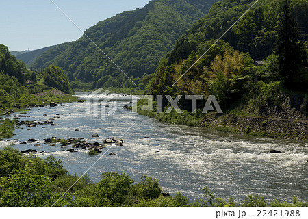 江の川 22421988