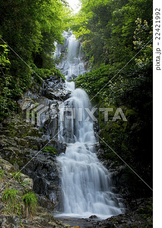 常清滝 常清滝 22421992