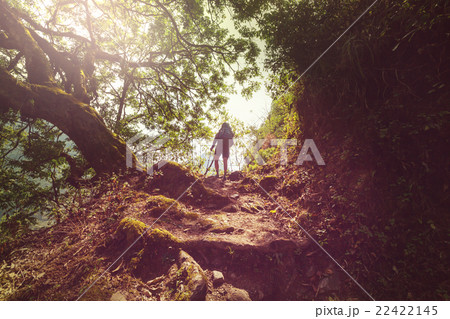 Hike in Nepal jungle 22422145