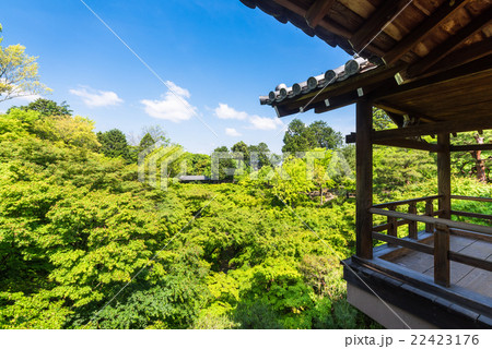 京都 東福寺 通天橋から眺める新緑の写真素材