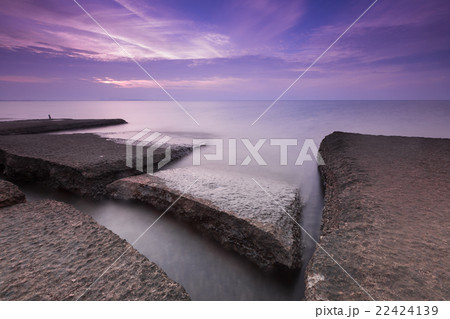 Sun set at 75million years old Fossil Shell 22424139