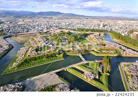 桜満開の五稜郭の写真素材