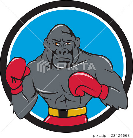 Gorilla Boxer Boxing Stance Circle Cartoonのイラスト素材 22424668