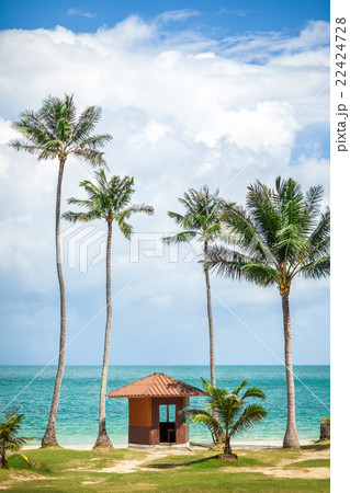 Paradise beach on tropical island. 22424728