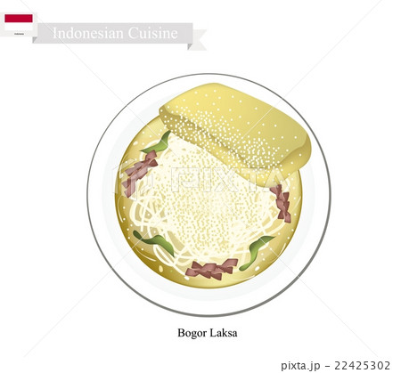 Bogor Laksa or Indonesian Rice Noodle Soup 22425302