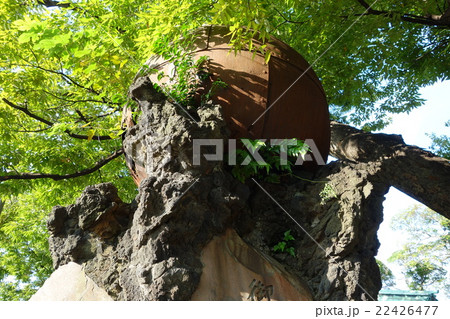 八幡神社 八幡神社 22426477