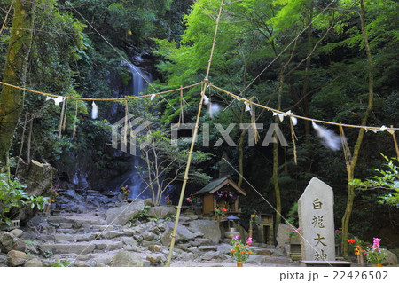 桃尾の滝 桃尾の滝 22426502