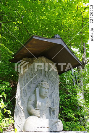 信州の文化財　名工　守屋貞治の石仏　大聖不動明王像　俯瞰　縦　長野県伊那市高遠　三峯川畔 22426512