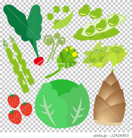 Spring vegetable set 22426953