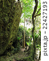 バリバリ岩 22427193