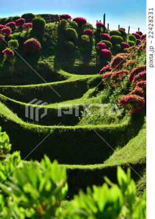 日本100名城・山中城（静岡） 22428231