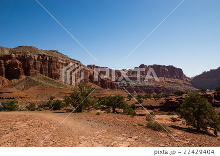 キャピトルリーフ国立公園 22429404