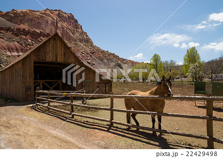 キャピトルリーフ国立公園 22429498