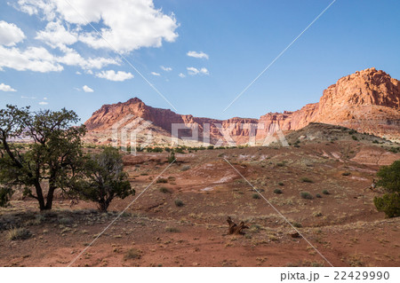 キャピトルリーフ国立公園 22429990