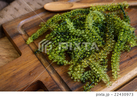 Sea Grapes (Caulerpa Lentillifera) seaweed 22430973