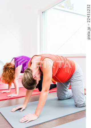 pregnant women exercising during prenatal class 22431232
