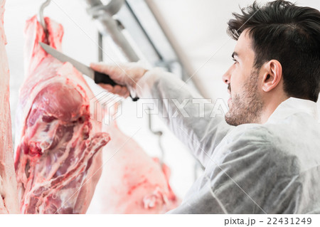 Butcher in butchery or slaughterhouse cutting meat 22431249