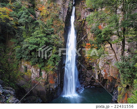 紅葉の西椎屋の滝 22431556