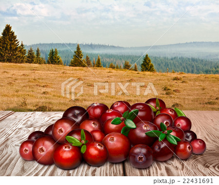 Cranberries on wooden table against landscape 22431691