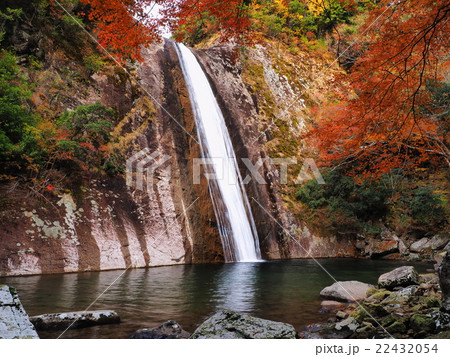 紅葉の布引の滝 22432054