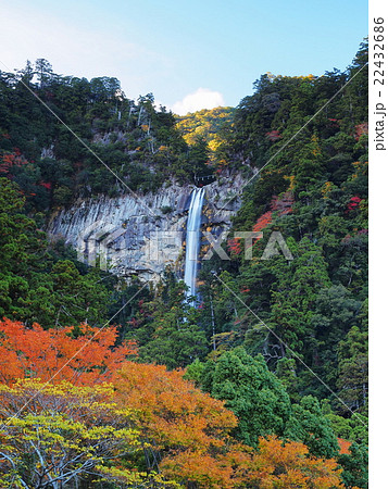 紅葉の那智の滝 紅葉の那智の滝 22432686
