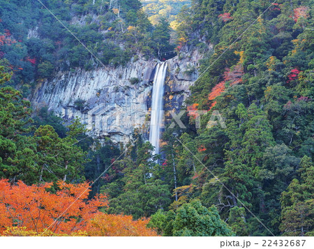 紅葉の那智の滝 紅葉の那智の滝 22432687