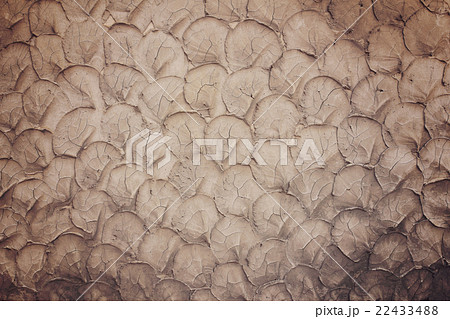 Dark brown paint wall grunge background or texture Dark brown paint wall grunge background or texture 22433488