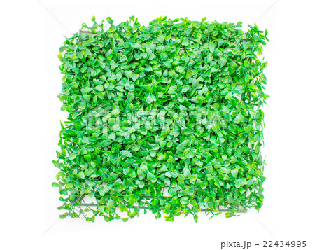 isolated artificial grass, green grass. natural 22434995