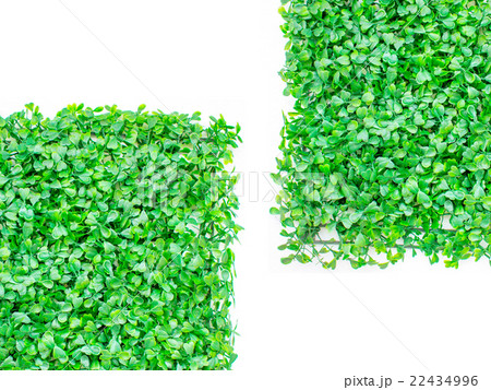 isolated artificial grass, green grass. natural isolated artificial grass, green grass. natural 22434996