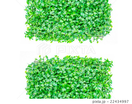 isolated artificial grass, green grass. natural 22434997