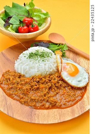 キーマカレー(ドライカレー/挽肉のカレーライス)のイメージ。 キーマカレー(ドライカレー/挽肉のカレーライス)のイメージ。 22435125