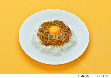 キーマカレー(ドライカレー/挽肉のカレーライス)のイメージ。 キーマカレー(ドライカレー/挽肉のカレーライス)のイメージ。 22435126