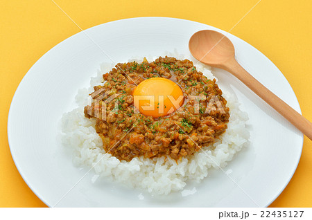 キーマカレー(ドライカレー/挽肉のカレーライス)のイメージ。 キーマカレー(ドライカレー/挽肉のカレーライス)のイメージ。 22435127
