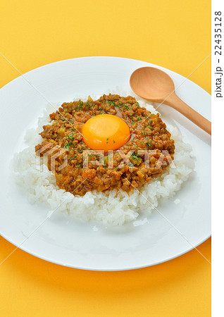 キーマカレー（ドライカレー／挽肉のカレーライス）のイメージ。 22435128